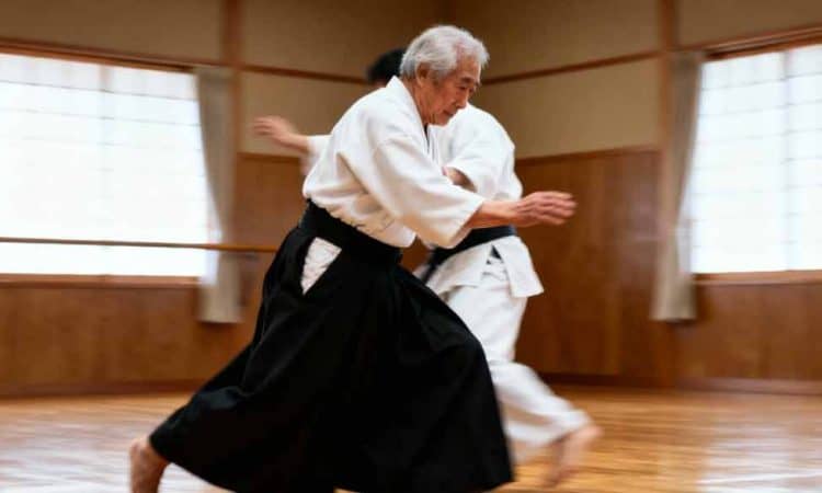 Tada Hiroshi Shihan: Penjaga Kemurnian Aikido Tradisional Jepang